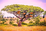 Tree with lions