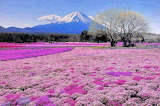 Mount Fuji